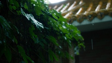 IMG_4076-编辑 