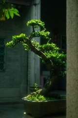 IMG_3663-编辑 
