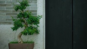 IMG_3618-编辑 
