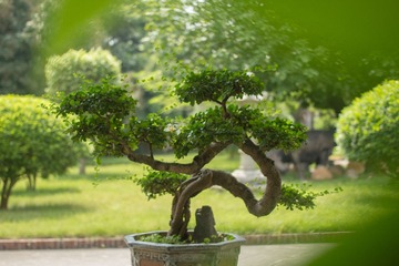IMG_3624-编辑 