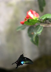 _DSC3278.JPG