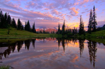 DSC_7541_2_3