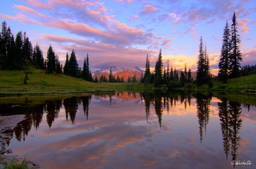 DSC_7556_7_8