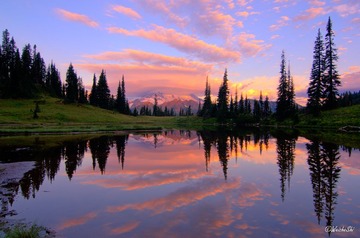 Rainier reflection at Tipsoo Lake