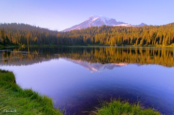DSC_7413_4_5-3