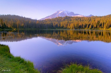 DSC_7413_4_5