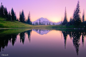 DSC_7447_8_9-2