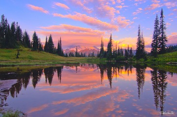 DSC_7565_6_7-2