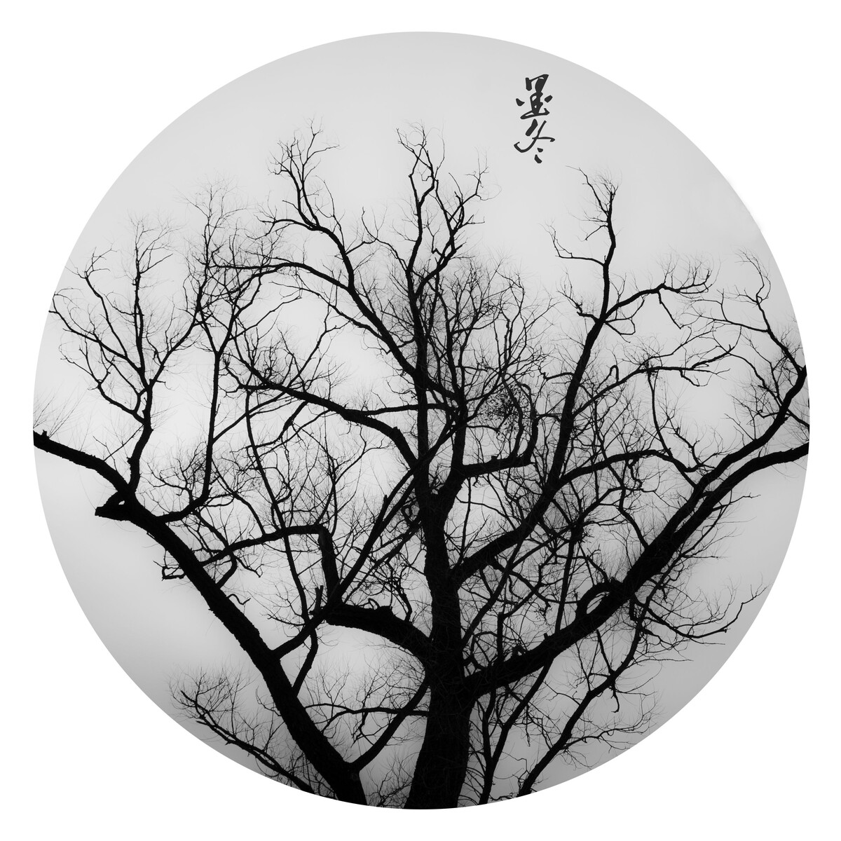 墨冬<br />
