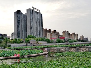 315368
