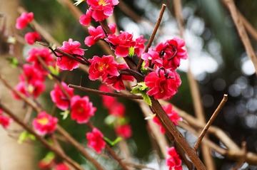 DSC00075.jpg