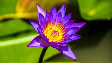 dsc06408_