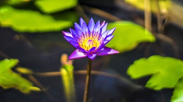dsc06432_