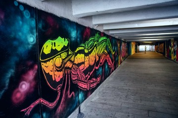 IMGP1276_