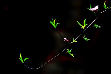001