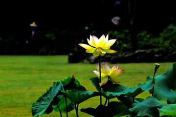 001