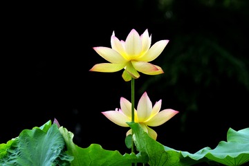 001