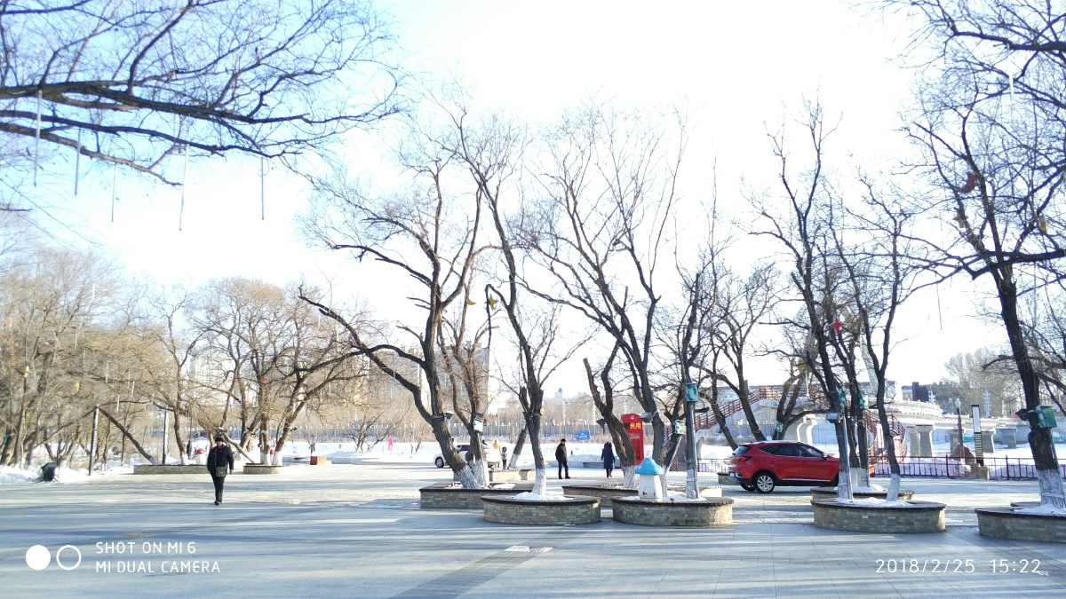 黑龙江黑河大岛植物园的冬天