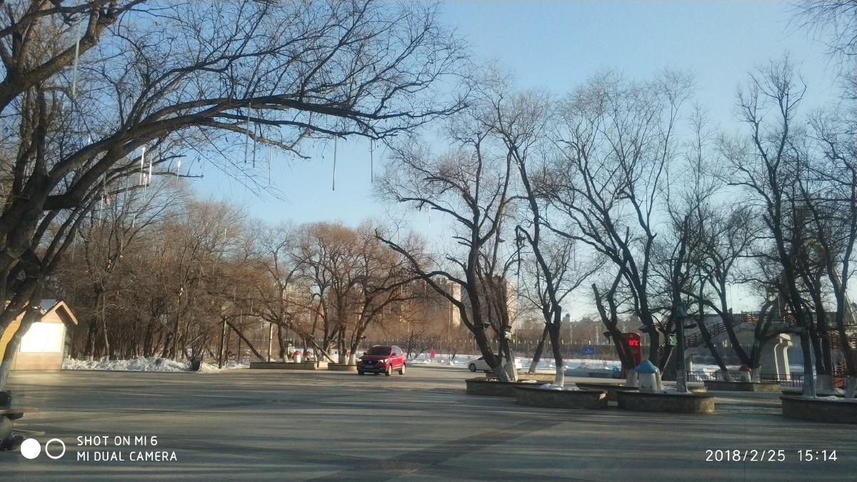 黑龙江黑河大岛植物园的冬天