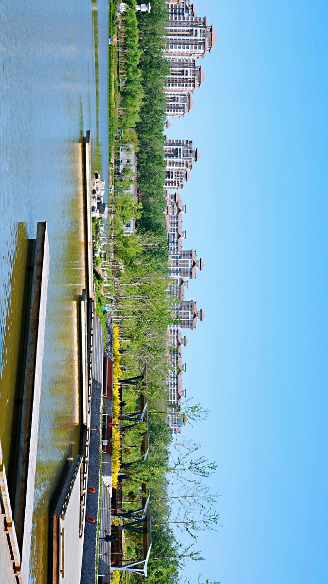 索尼5N马家湾湿地公园随手拍(一)