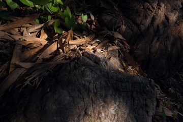 DSC_1175_1web