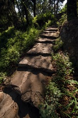 DSC_1157_1web