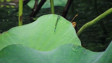 IMG_1230_3web