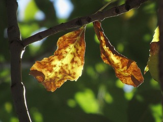 IMG_1744_2web