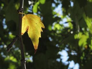 IMG_1758_2web