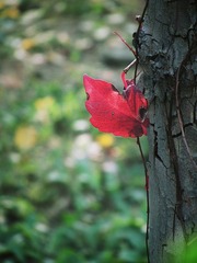 IMG_2117_2web