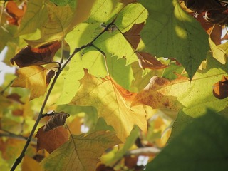 IMG_2106_2web
