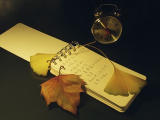 IMG_2284_2web