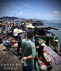 A7AF28AE-F758-4760-A0A9-80309BF7B43B/L0/001