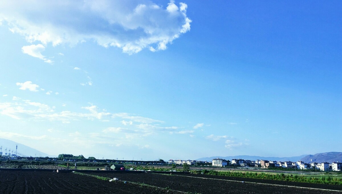 乡村的清晨，格外清新。