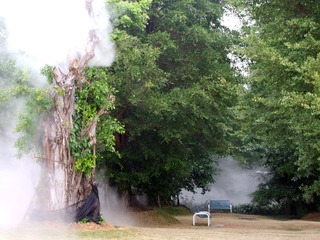 DSCF0209.jpg