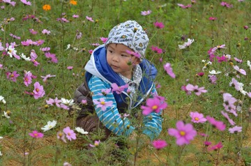 TLD_8509.JPG