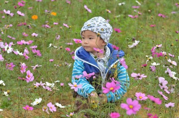 TLD_8510.JPG