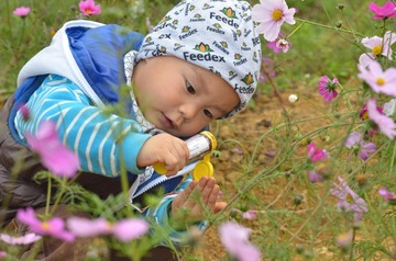 TLD_8517.JPG