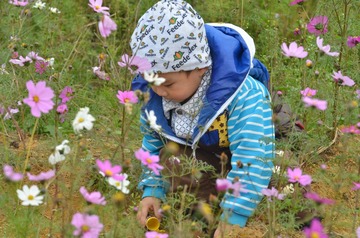 TLD_8536.JPG