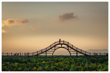 45633