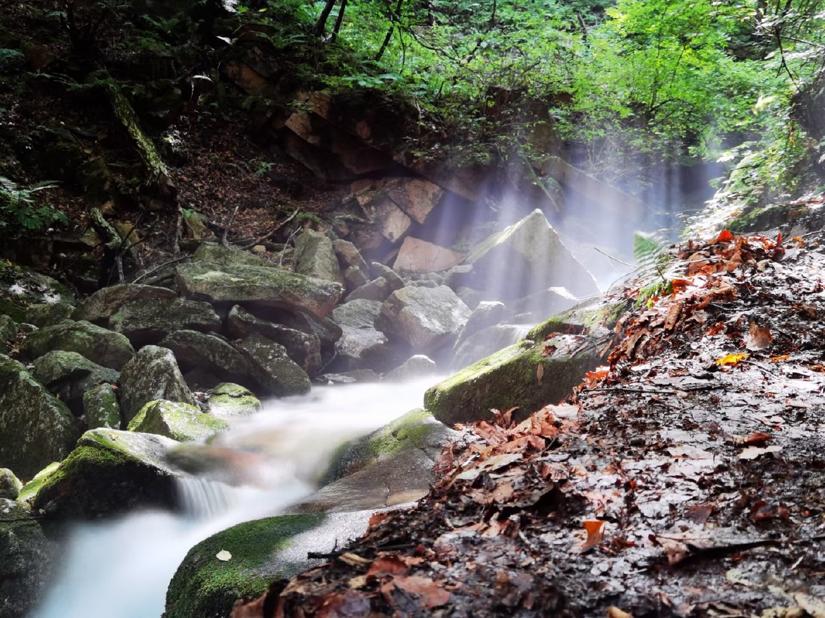 晨光沐浴秋溪上