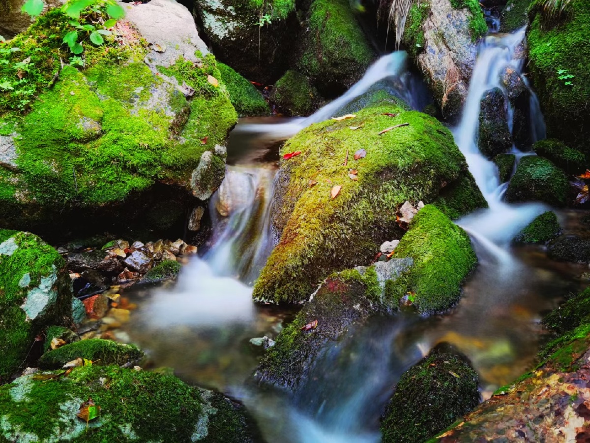 溪水潺潺接涧泉.