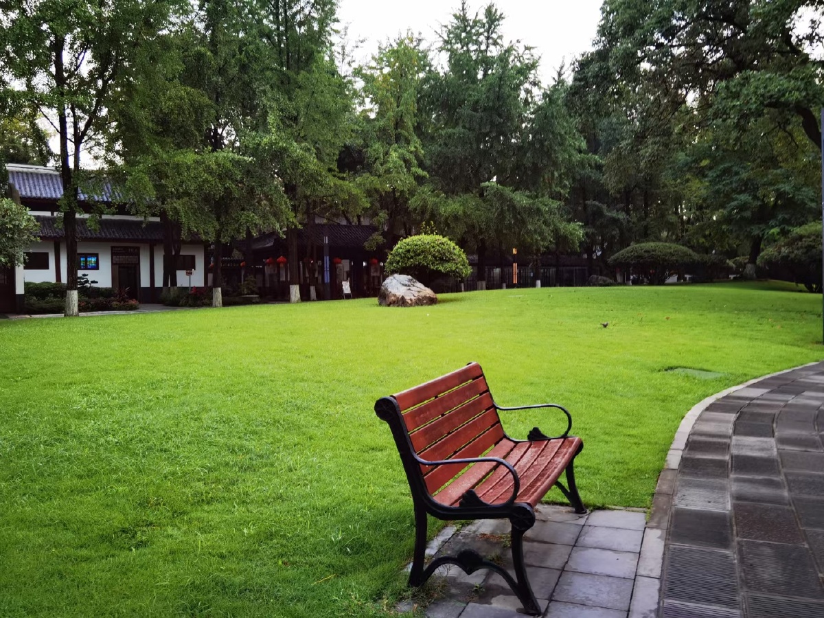 夏日清晨的公园些许凉意