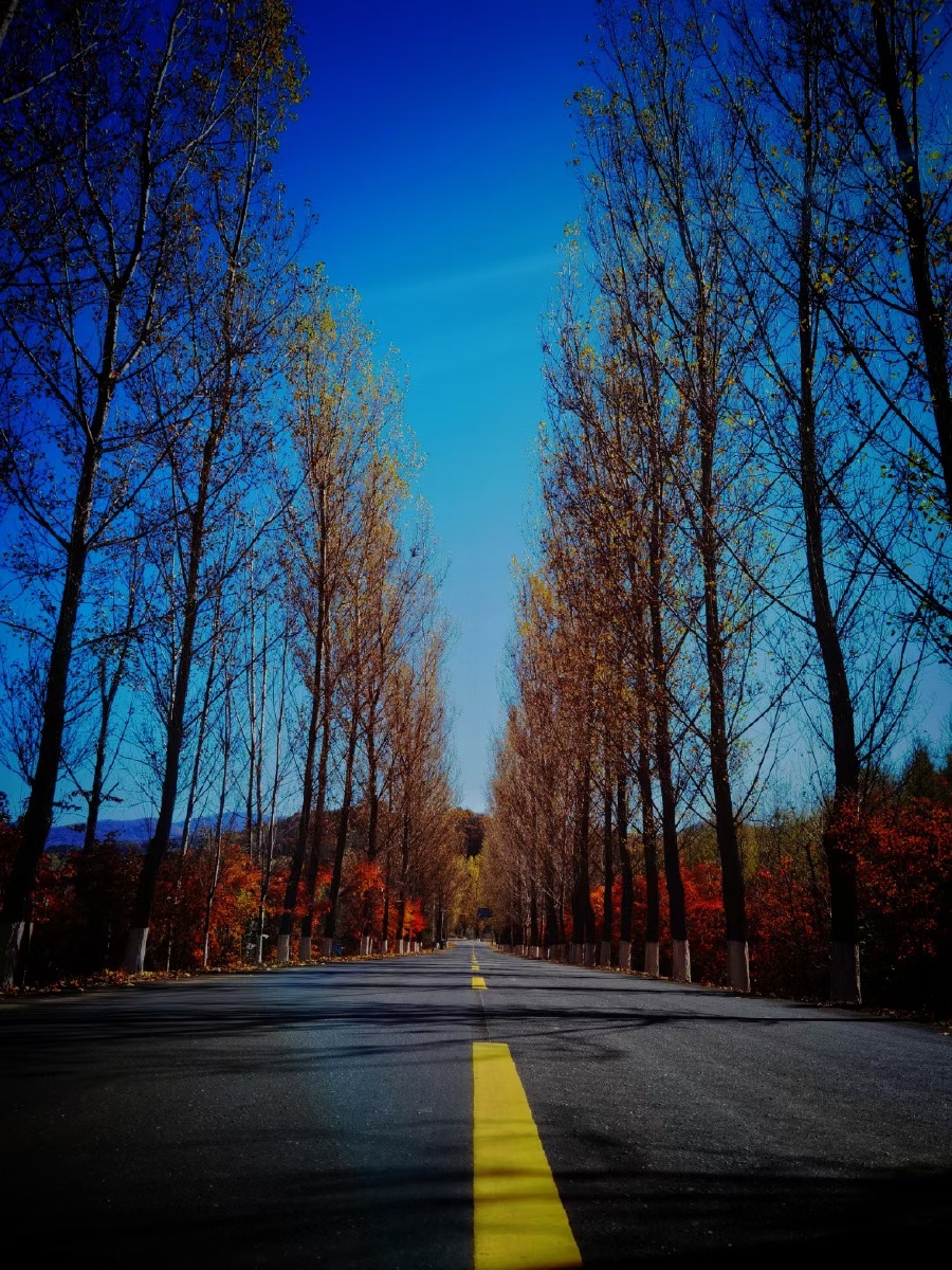 通往秋天的乡村公路