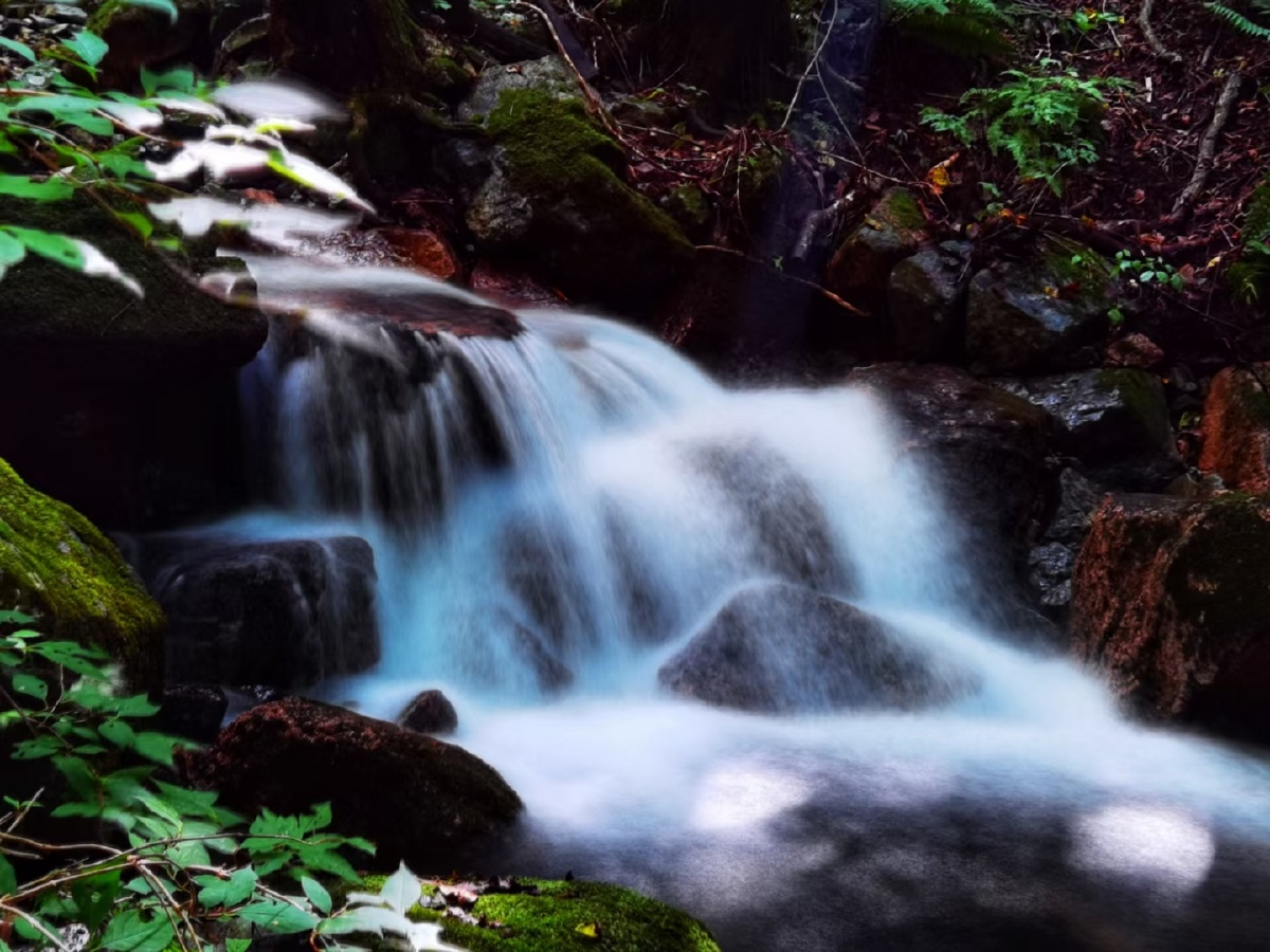 溪水潺潺接涧泉.