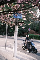 D7C0131B-CC05-4B5C-B005-DFEE0208CC51/L0/001