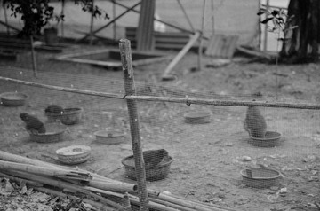 DSC_007011.jpg