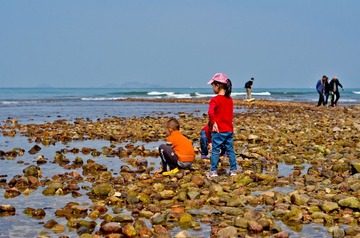 DSC_0202.jpg