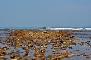DSC_0239.jpg