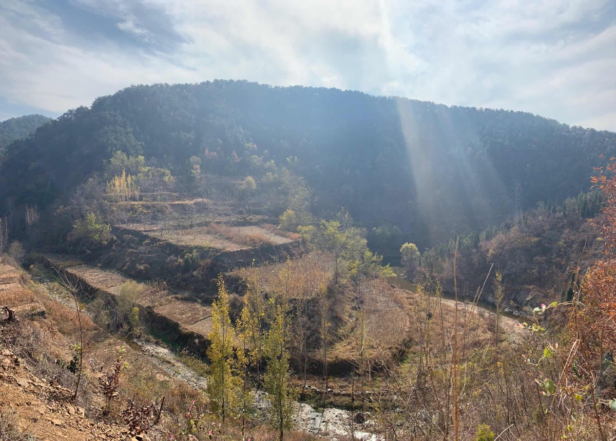 偷得浮生一日闲放马南山思不还